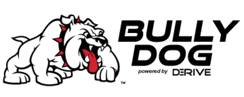 Bully Dog A-pillar Mount for GT PMT and WatchDog 13-16 Dodge Ram w/o Leather - Image 3