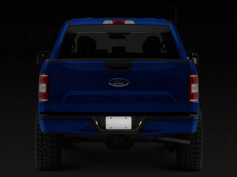 Raxiom 15-23 Ford F-150 Axial Series LED License Plate Lamps - Image 6